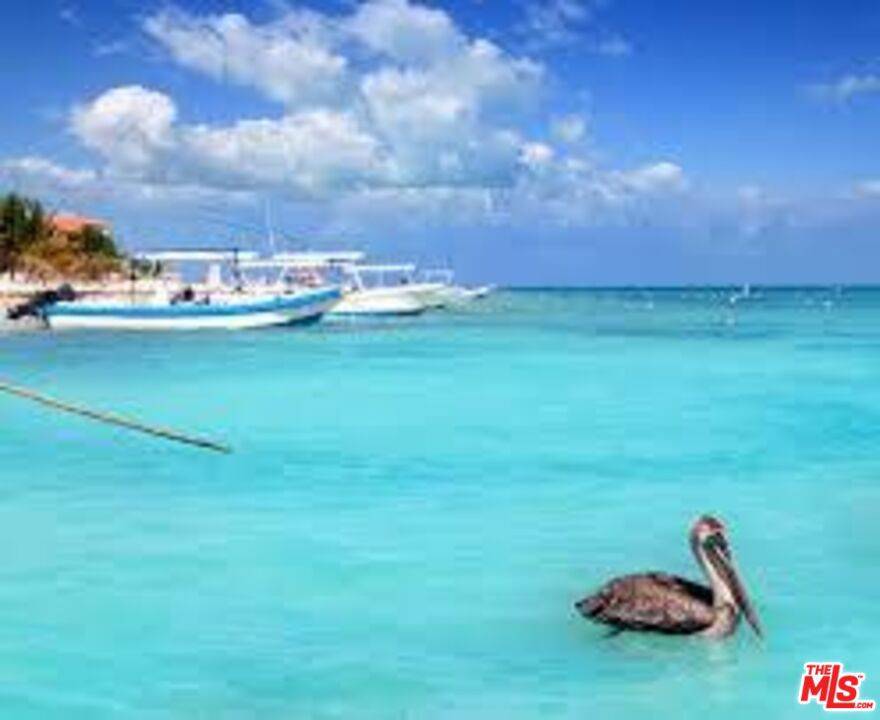 0 Puerto Morelos, Quintana Roo, Cancun Mexico, 0