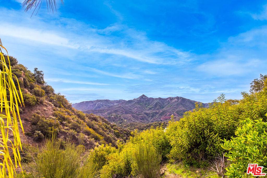 Topanga, CA 90290,2529 Topanga Skyline DR
