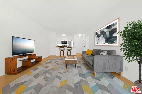 Los Angeles, CA 90020,425 S Kenmore AVE #312
