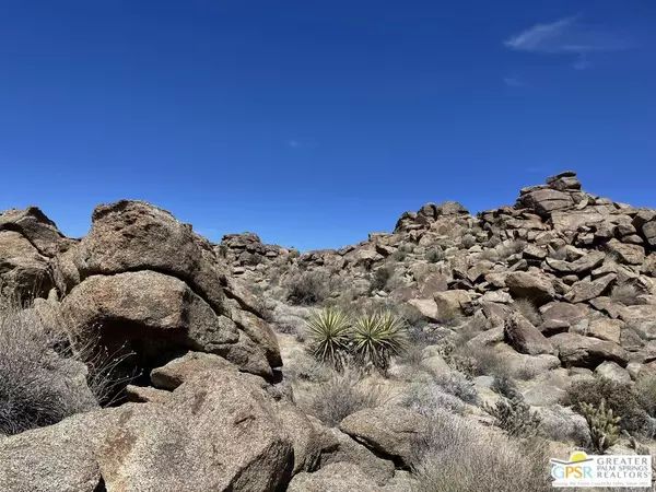 Mountain Center, CA 92561,0 Desert Calico