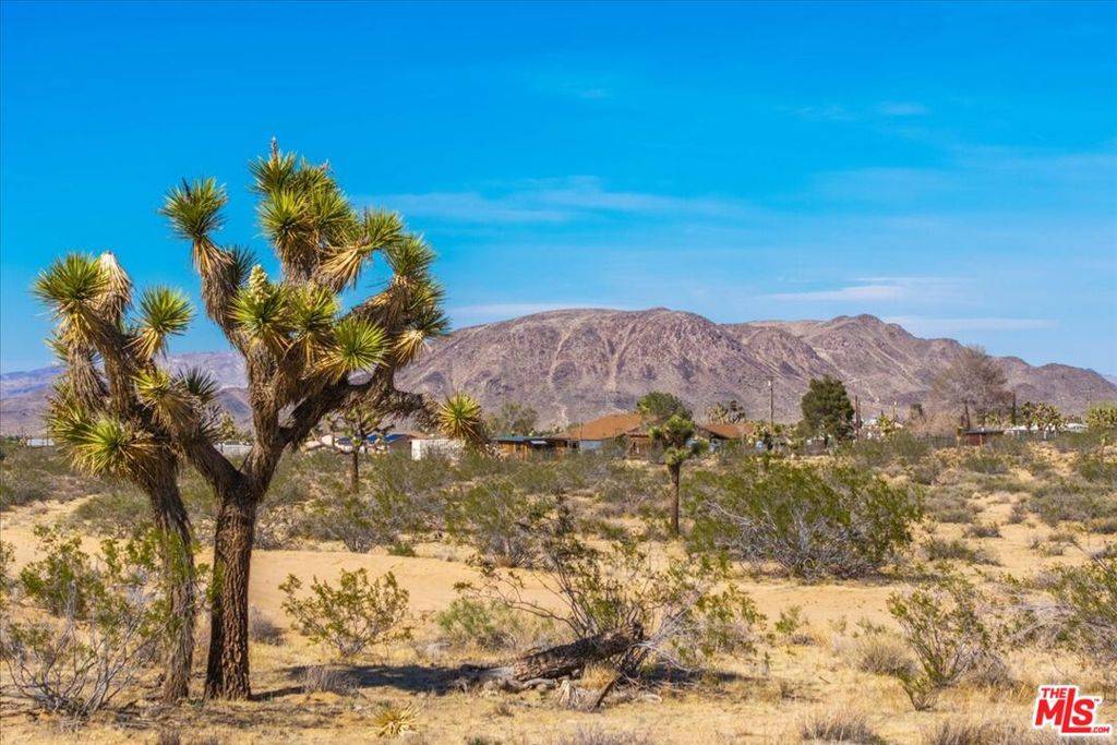 113 Margarita ST, Landers, CA 92285