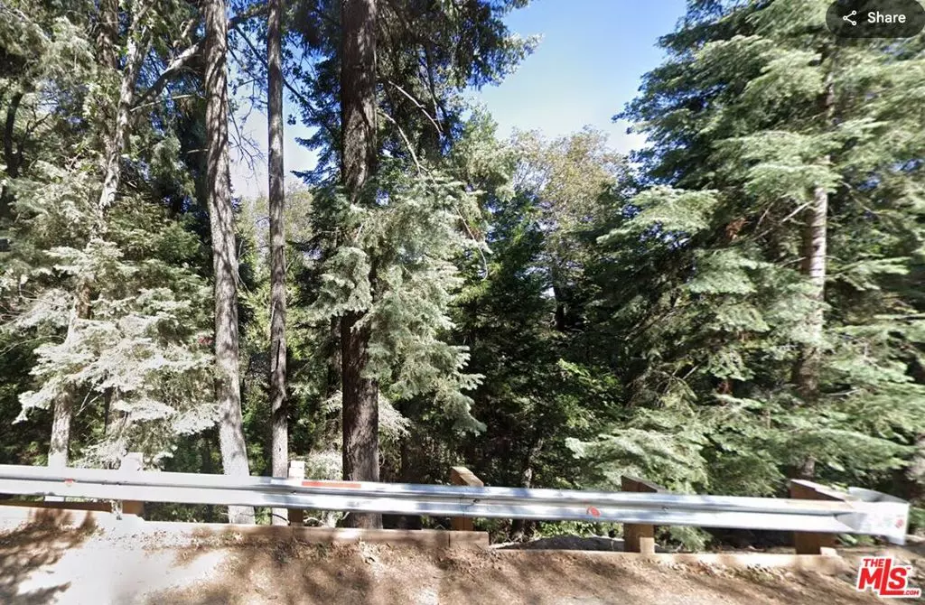 Lake Arrowhead, CA 92352,0 Community DR