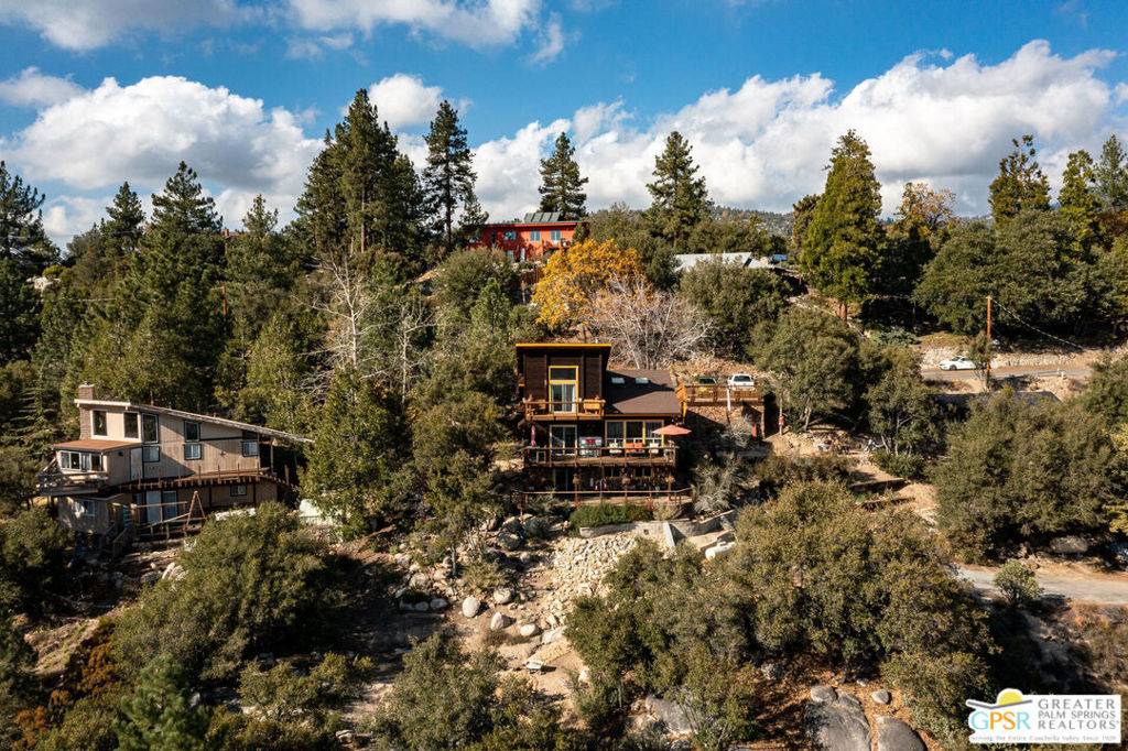 53015 Double View DR, Idyllwild, CA 92549