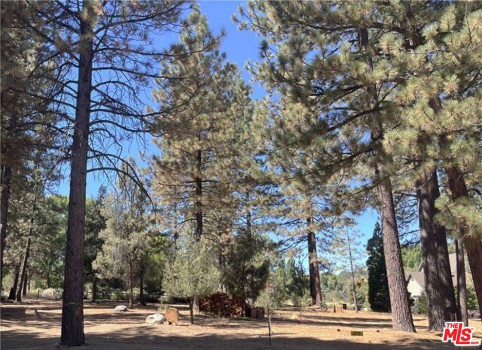 Pine Mountain Club, CA 93222,2613 Teakwood CT