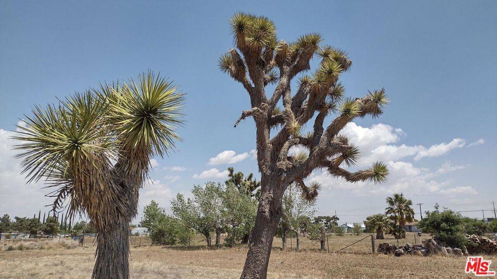 Palmdale, CA 93550,0 E Avenue O