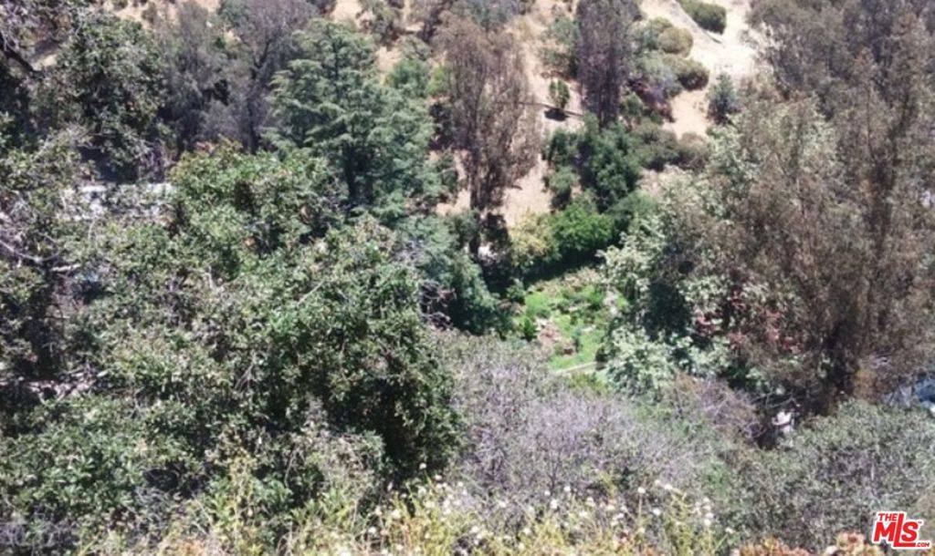Los Angeles, CA 90046,2314 N Merrywood Dr