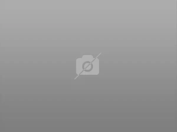 Woodland Hills, CA 91367,24108 Albers ST