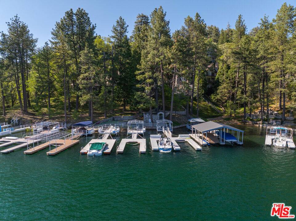 Lake Arrowhead, CA 92352,27825 North Shore RD