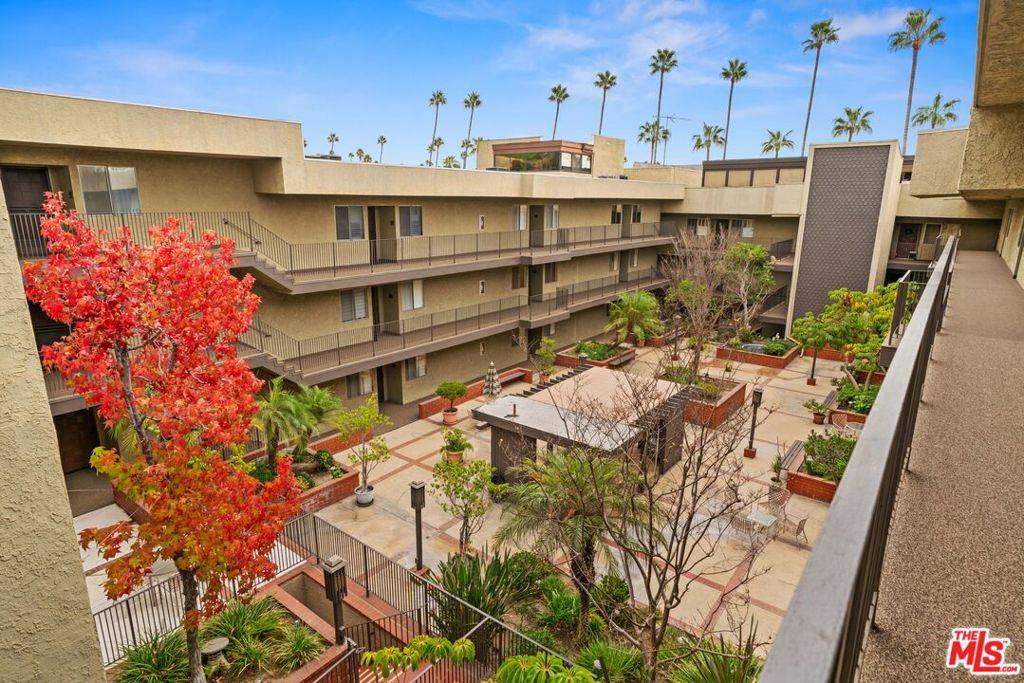Glendale, CA 91202,125 W Mountain ST #115