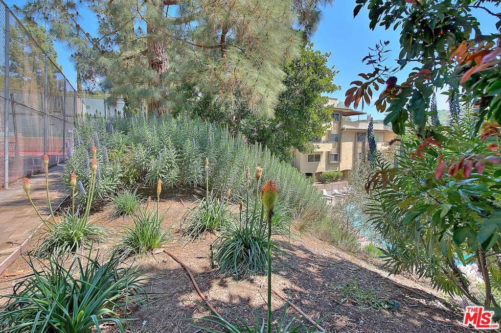 Los Angeles, CA 90068,6704 Hillpark DR #202