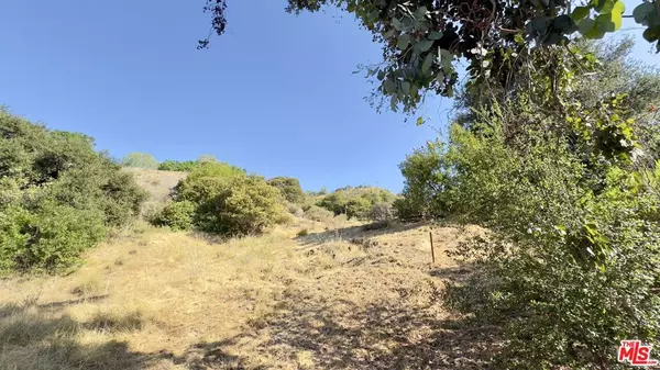 Topanga, CA 90290,2152 N Topanga Canyon BLVD