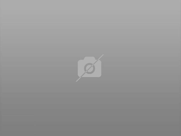 Pacific Palisades, CA 90272,934 Embury ST