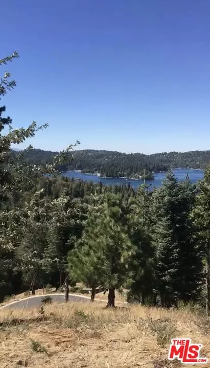 Lake Arrowhead, CA 92352,101 Mill Pond RD