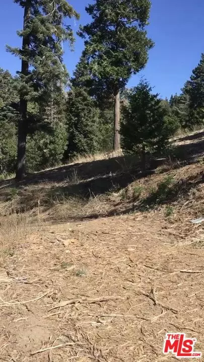 Lake Arrowhead, CA 92352,101 Mill Pond RD