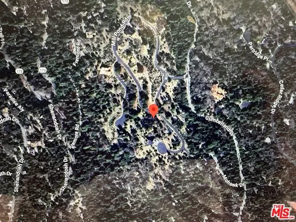 Lake Arrowhead, CA 92352,101 Mill Pond RD