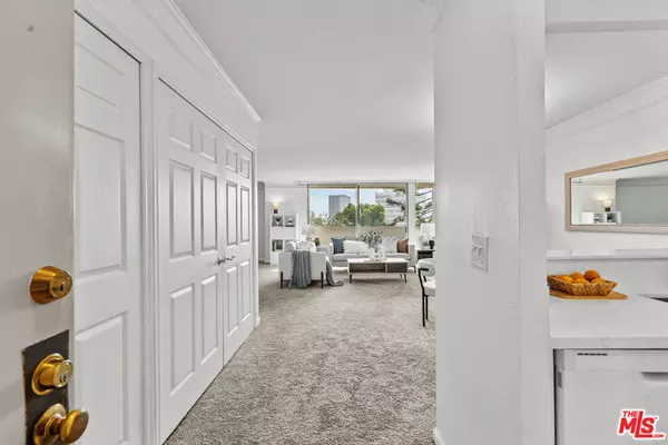 Los Angeles, CA 90049,11645 Montana AVE #335