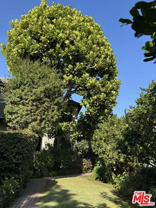 West Hollywood, CA 90046,7917 Norton AVE