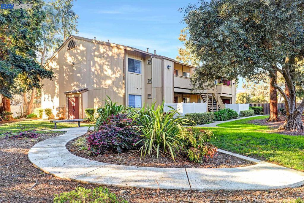 38580 Mary Ter, Fremont, CA 94538