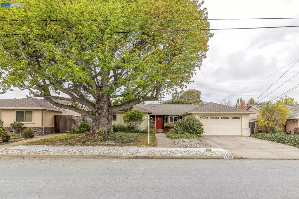 Fremont, CA 94536,4371 Norris Rd