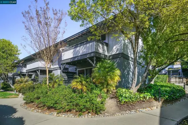Walnut Creek, CA 94598,231 Masters Ct #3