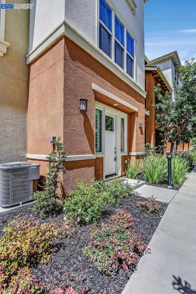 Newark, CA 94560,37924 Luma Ter