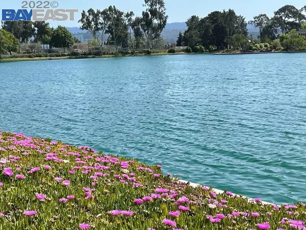 Foster City, CA 94404,1042 Helm Ln