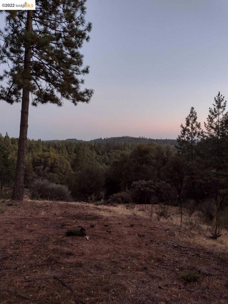 6230 Manhattan Creek Rd, Garden Valley, CA 95633