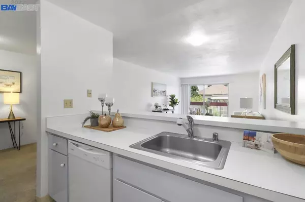 Oakland, CA 94611,288 Whitmore St #221