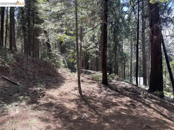 Arnold, CA 95223,833 Summit View Rd