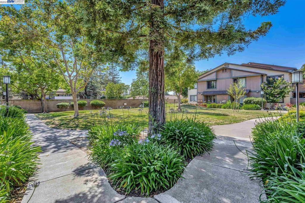 Fremont, CA 94539,192 Hackamore Cmn