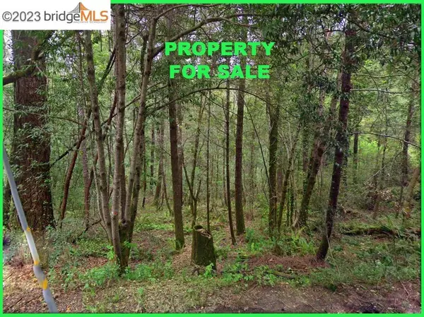 Cazadero, CA 95421,6060 Old Austin Creek Rd
