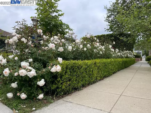 Brentwood, CA 91506,321 W Linden Ave