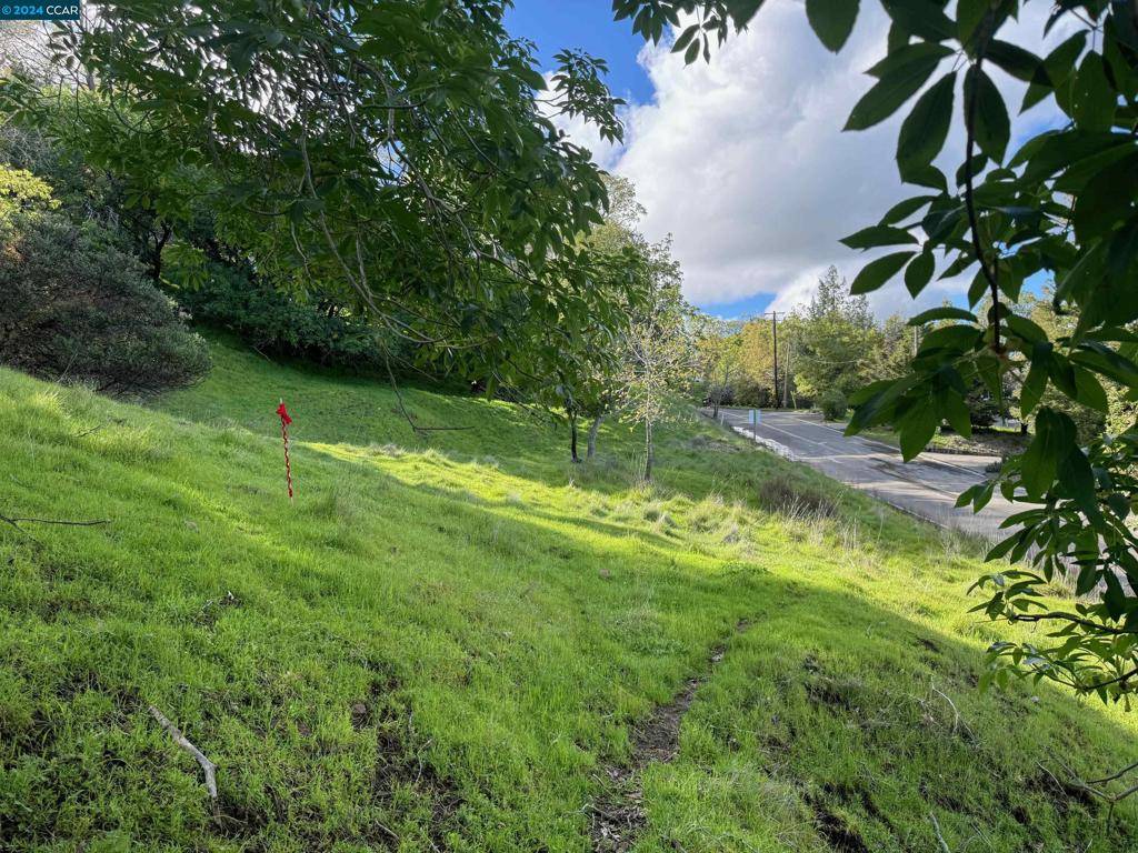Napa, CA 94558,197 Country Club Lane