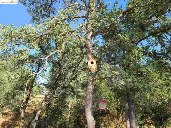 Anderson, CA 96007-8604,17703 Bright Path ANDERSON