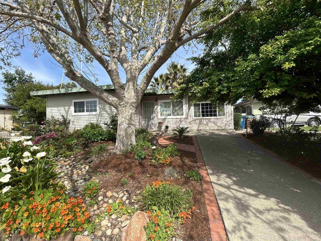 Martinez, CA 94553,4195 Irene Dr