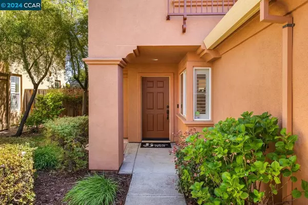 San Ramon, CA 94582,7091 Briza Loop