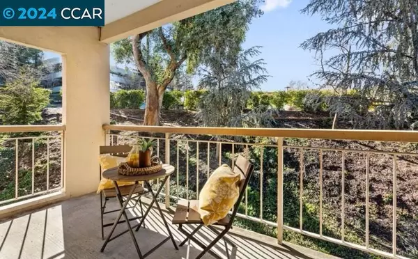 Walnut Creek, CA 94596,310 N Civic Dr #203