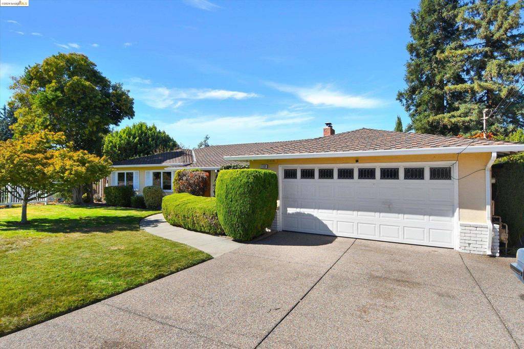 Fremont, CA 94539,1137 Farragut Dr