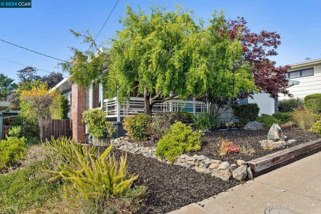 El Cerrito, CA 94530,6545 Alta Vista Dr