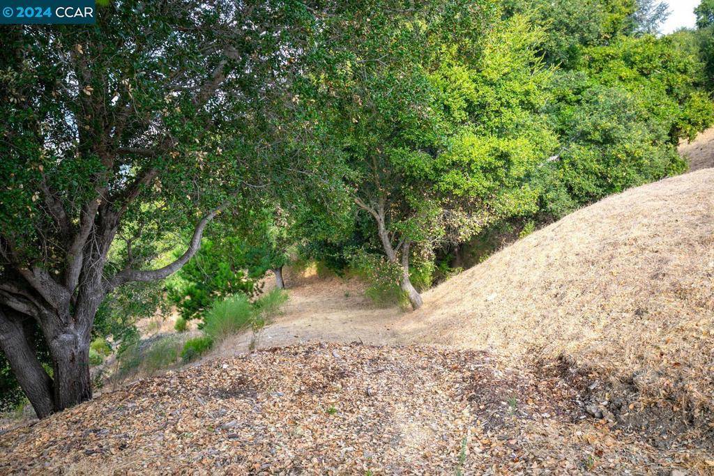 Orinda, CA 94563,46 Cedar Terrace