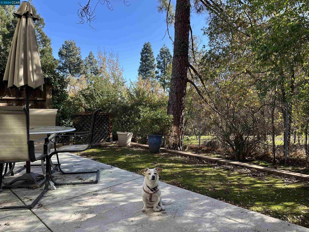 Walnut Creek, CA 94597,1811 Holland Dr