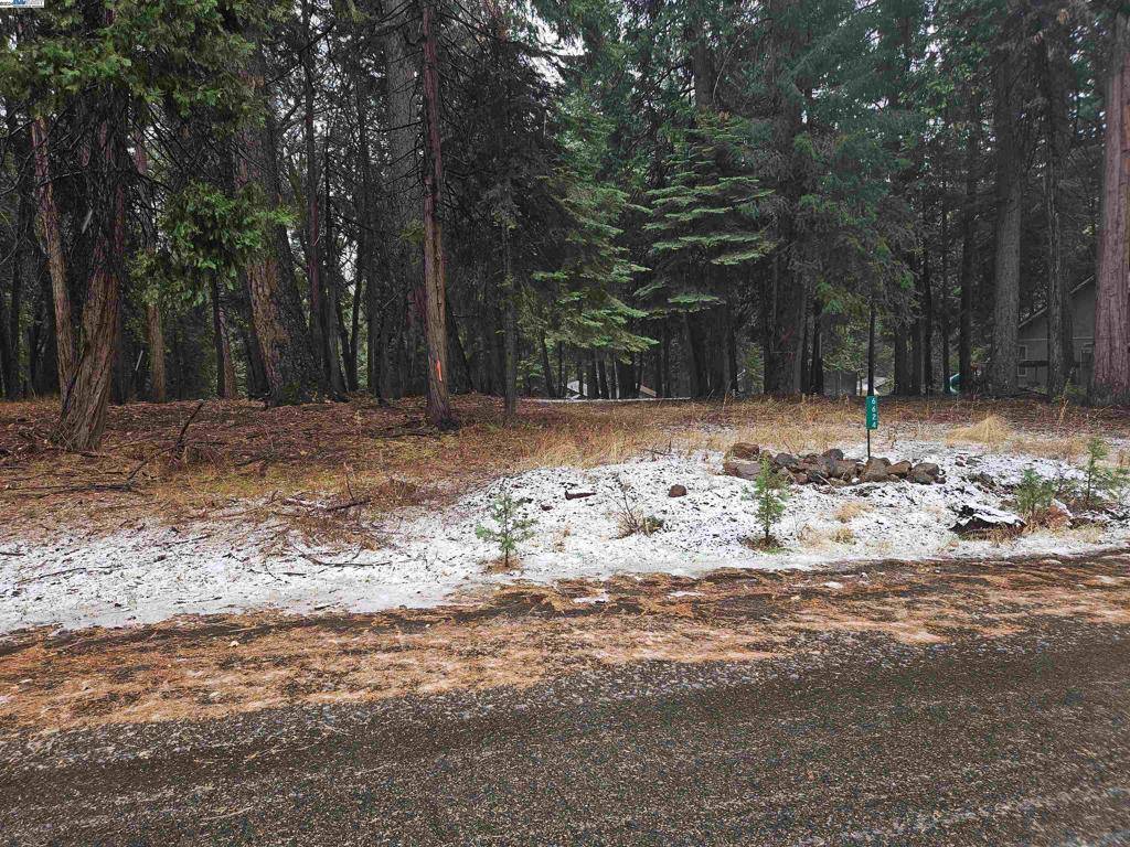 6624 Onyx Trail,  Pollock Pines,  CA 95726