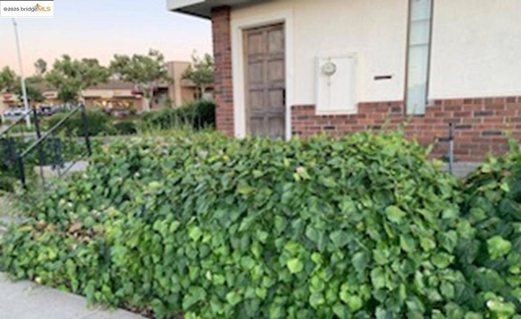 Antioch, CA 94509,2800 Lone Tree Way
