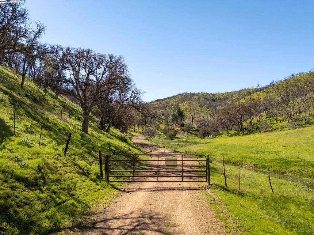 15676 W Corral Hollow Rd, Tracy, CA 95377