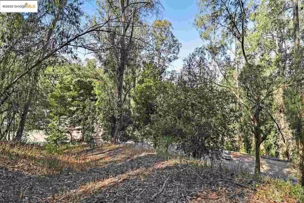 Oakland, CA 94611,6687 Thornhill Dr