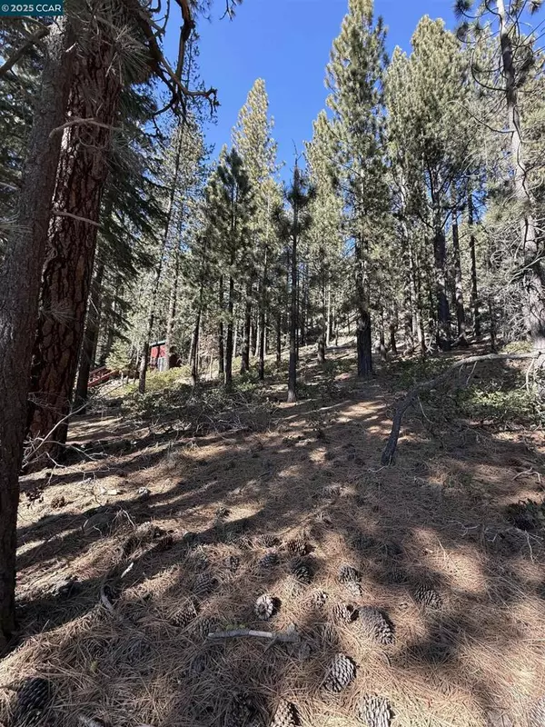 12442 Richards Blvd, Truckee, CA 96161-5020