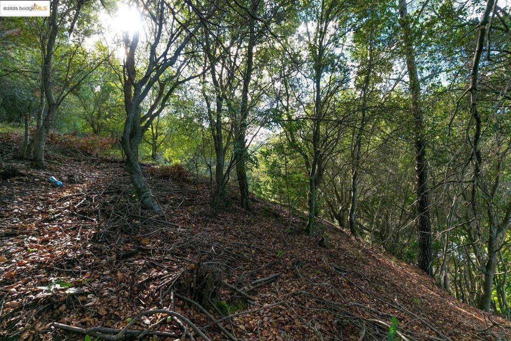 Orinda, CA 94563,26 Lucille Way