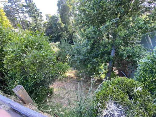 Oakland, CA 94611-1037,0 Skyline Blvd.