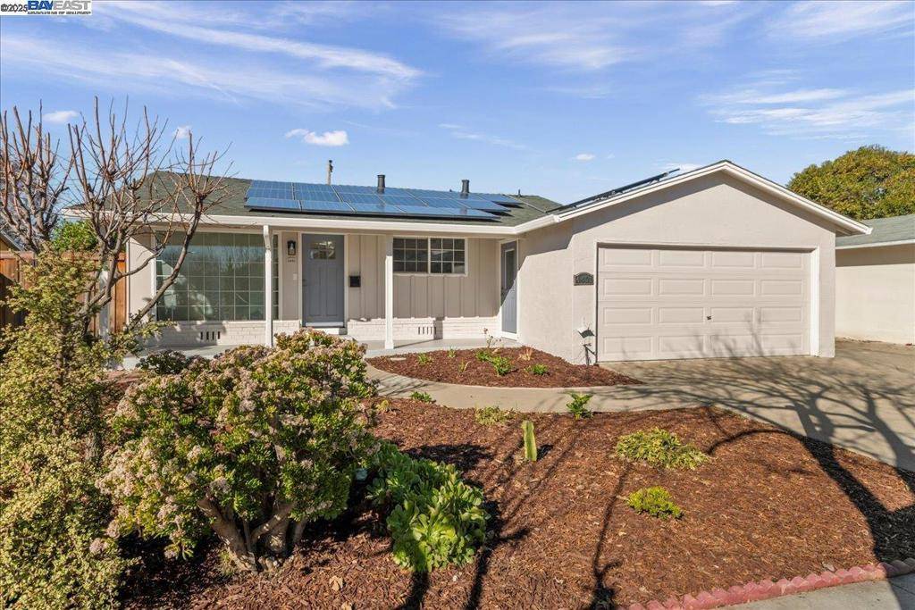 Fremont, CA 94538,4431 Margery Dr