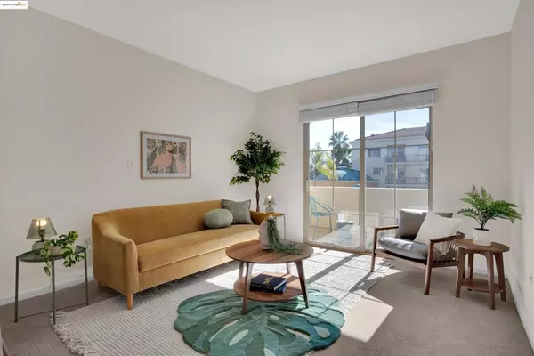 Walnut Creek, CA 94596,1315 Alma Ave #346